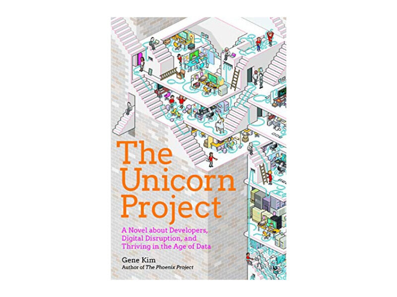 The Unicorn Project